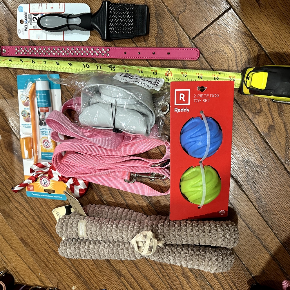 Freddy 2-Piece Dog Toy Set - Blue and Green